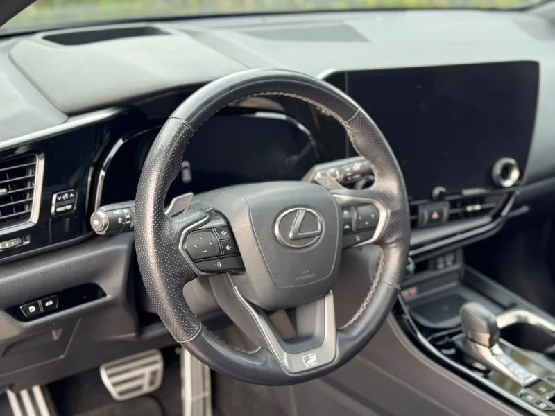 Lexus NX 450h+ 2.5 phev F-Sport 4wd 309cv e-cvt - foto 10